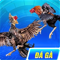 đá gà 88clb